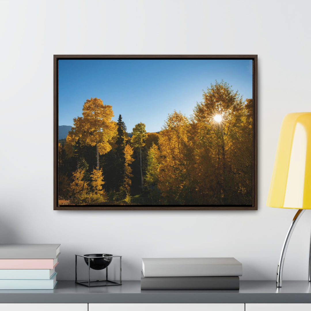 Sun Through the Aspens - Canvas with Frame