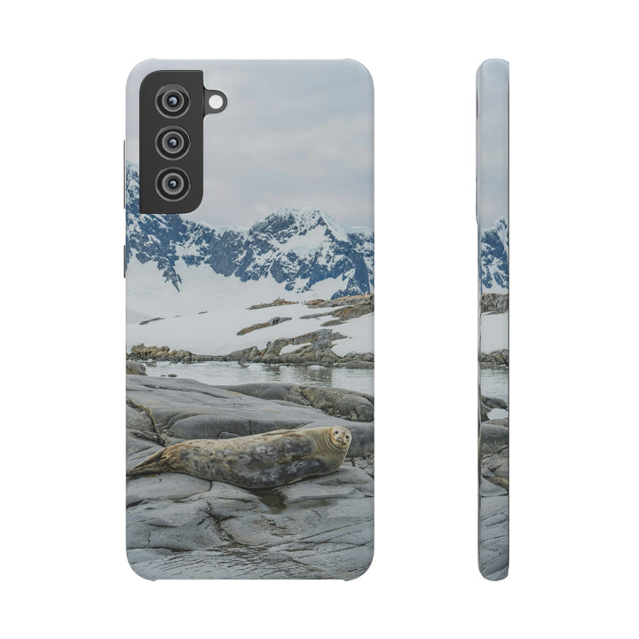 Weddell Relaxing - Phone Case