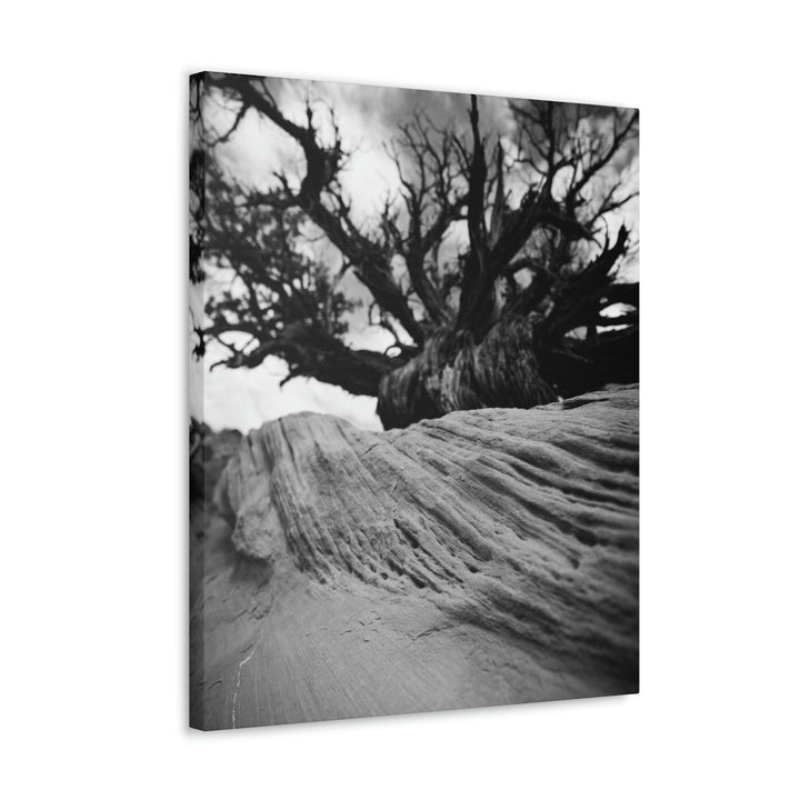 Desert Reach in Black and White - Canvas