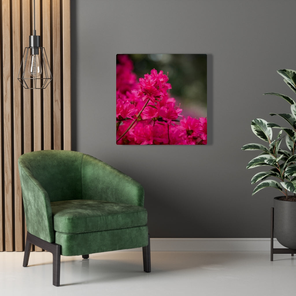 Full Bloom - Canvas