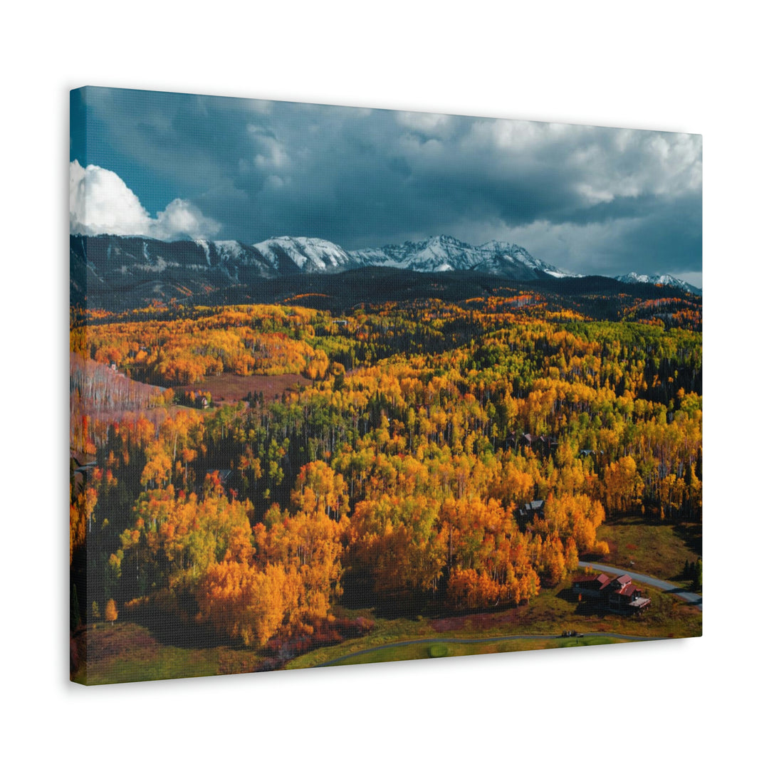 Golds of Autumn - Canvas