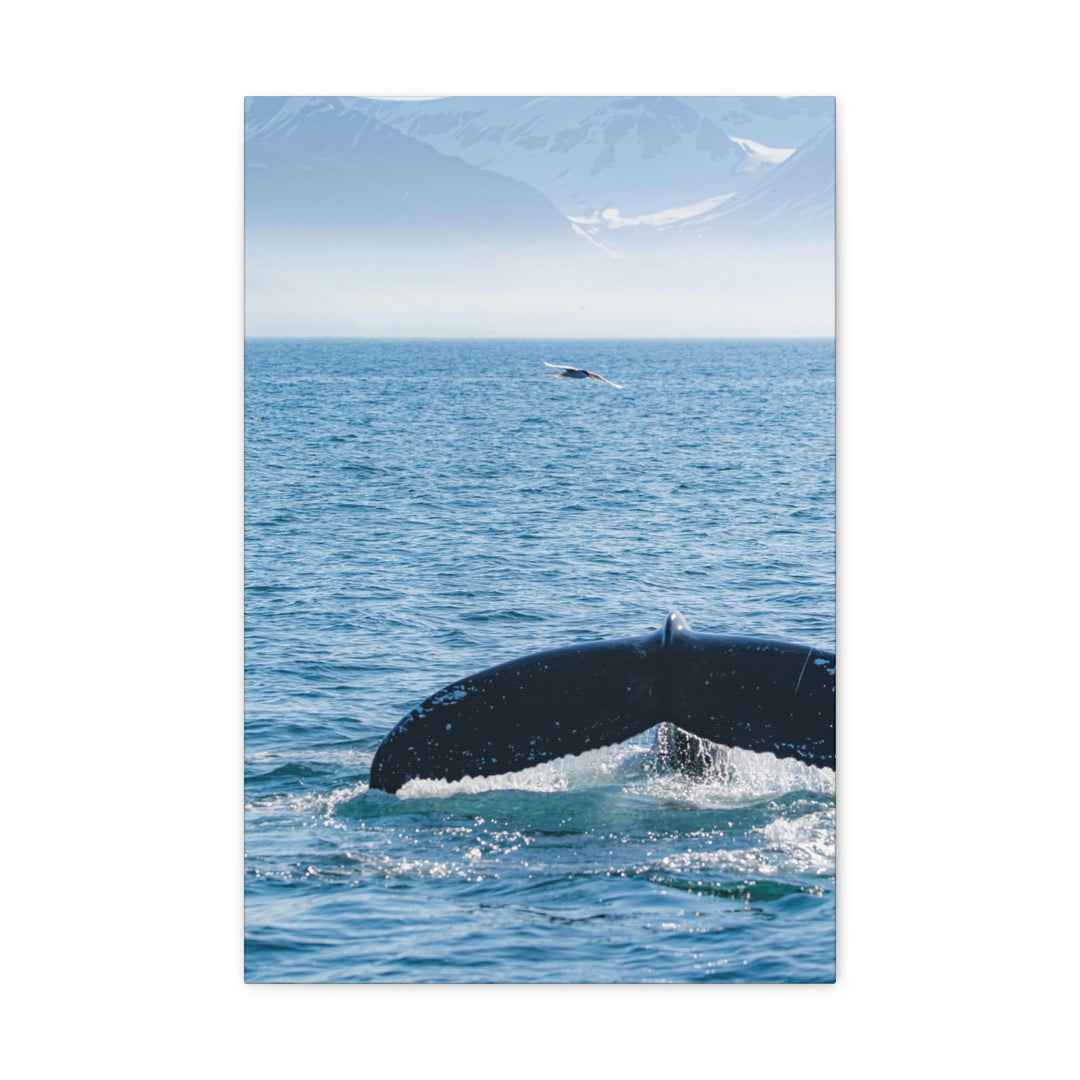 A Whale and A Mountain - Canvas