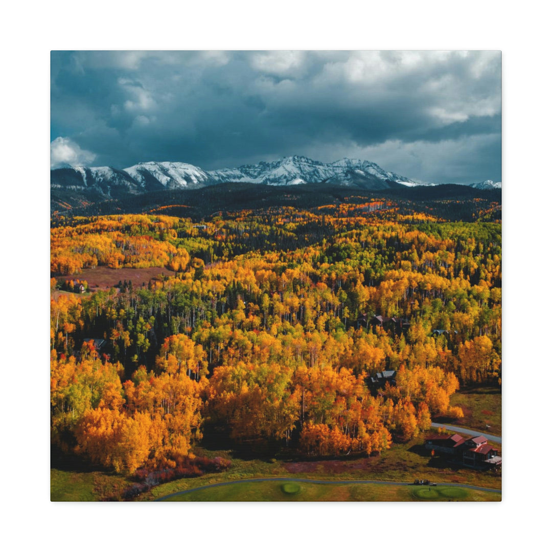 Golds of Autumn - Canvas