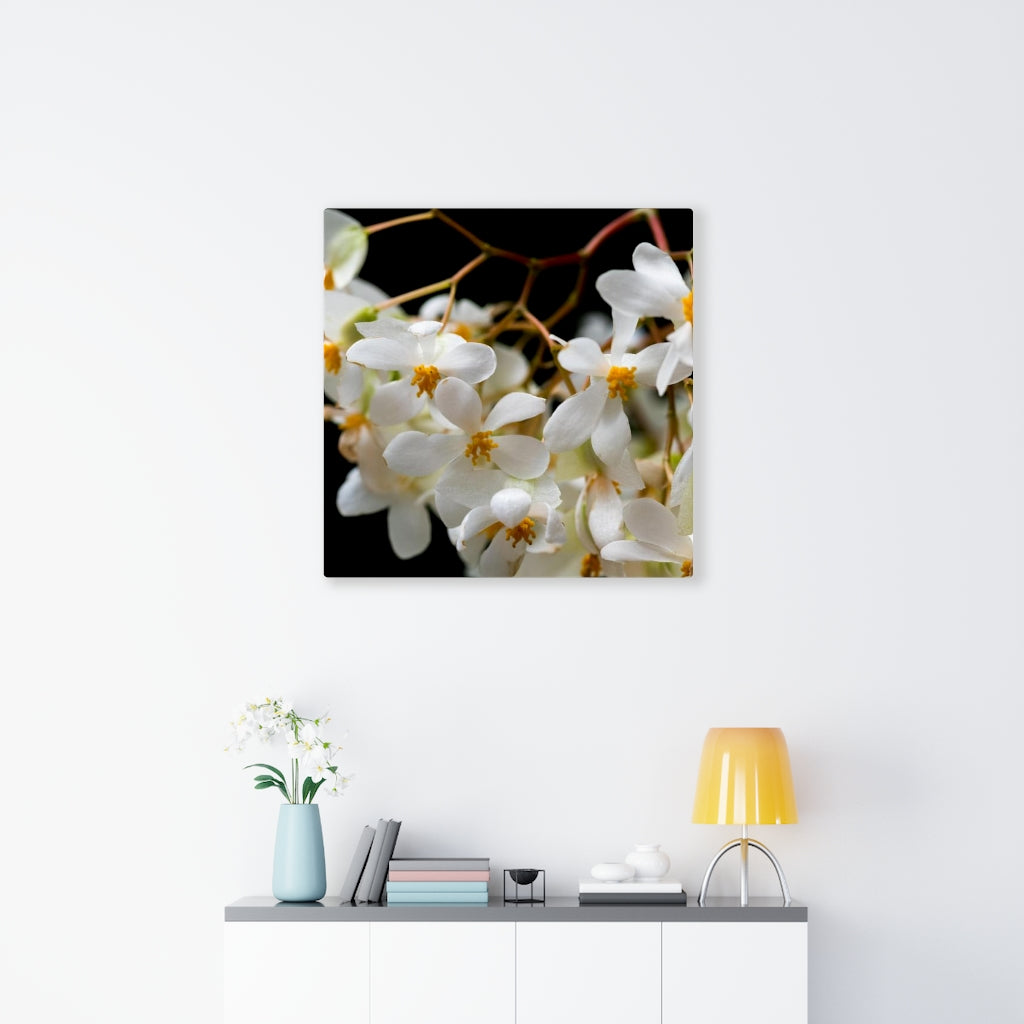 Floral Network - Canvas