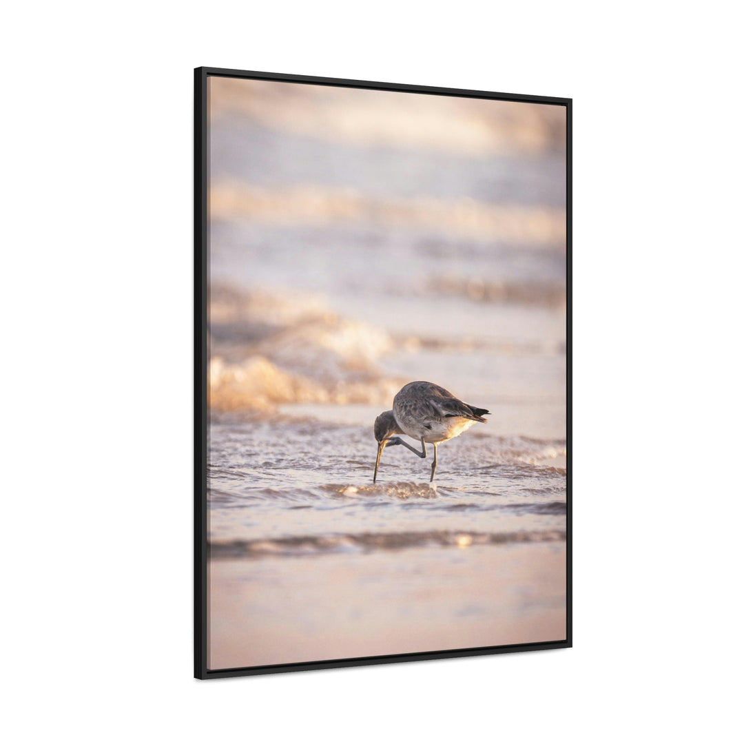 Willet Itch - Canvas with Frame