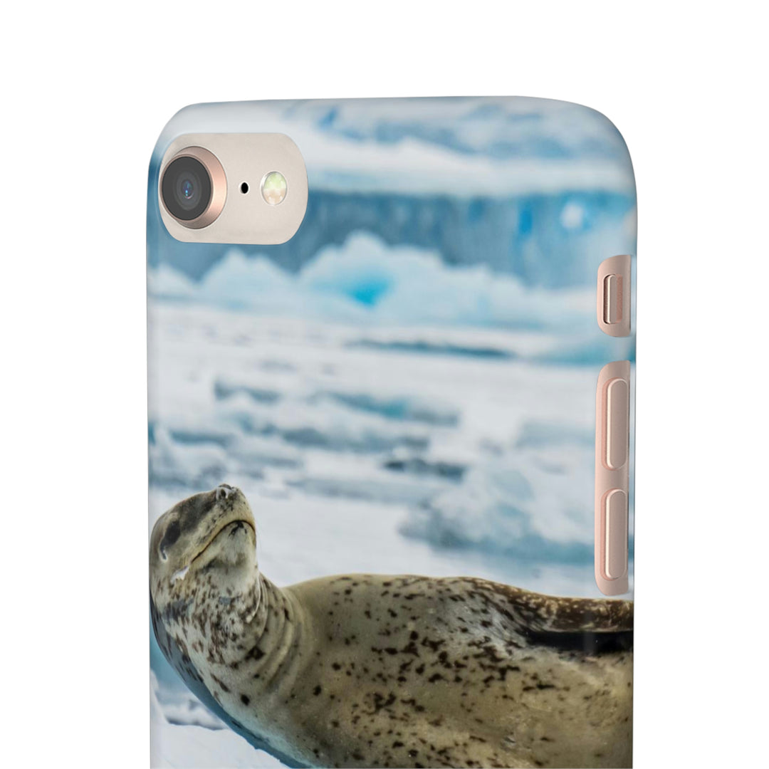 Leopard Seal Relaxing - Phone Case