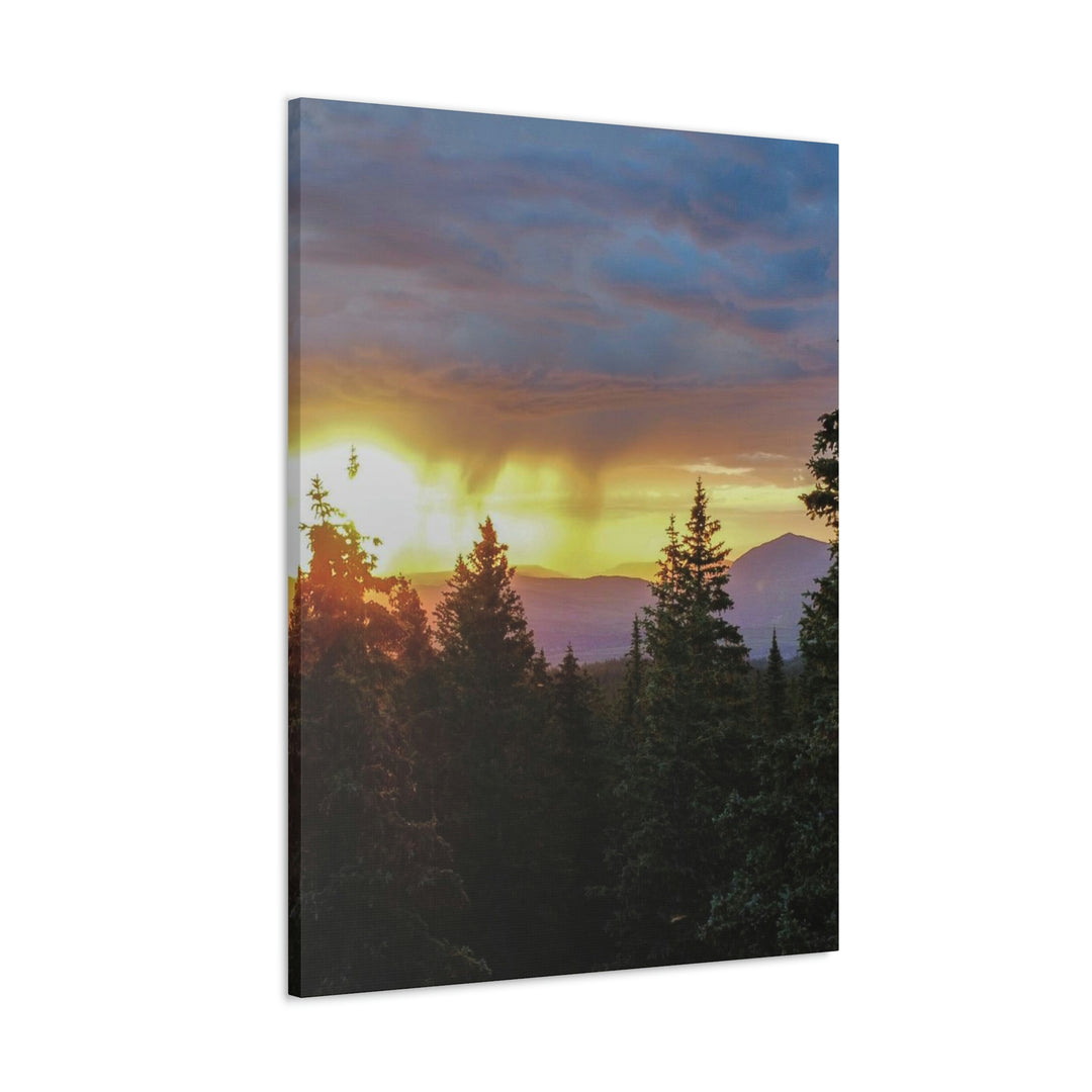 Rainy Sunset Through the Trees - Canvas