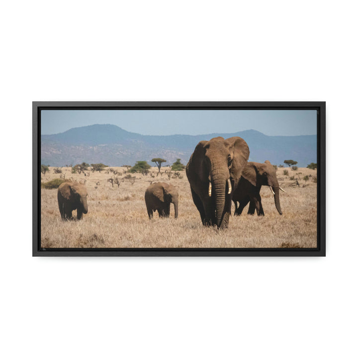 Family March - Canvas With Frame