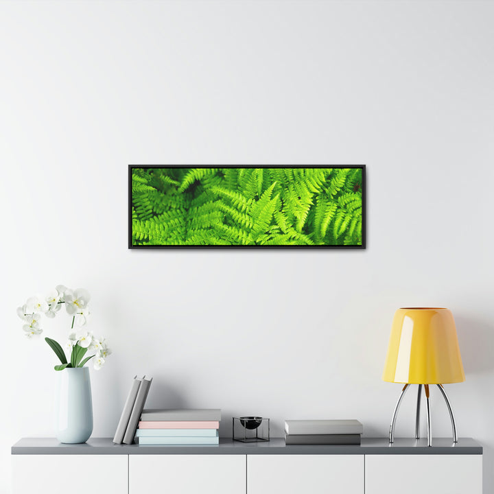 Ferns, Ferns, Ferns - Canvas with Frame