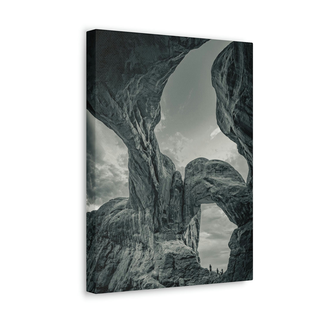 Natural Frames Part 1 in Black and White - Canvas