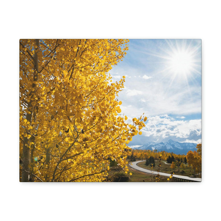 Golden Sunshine - Canvas