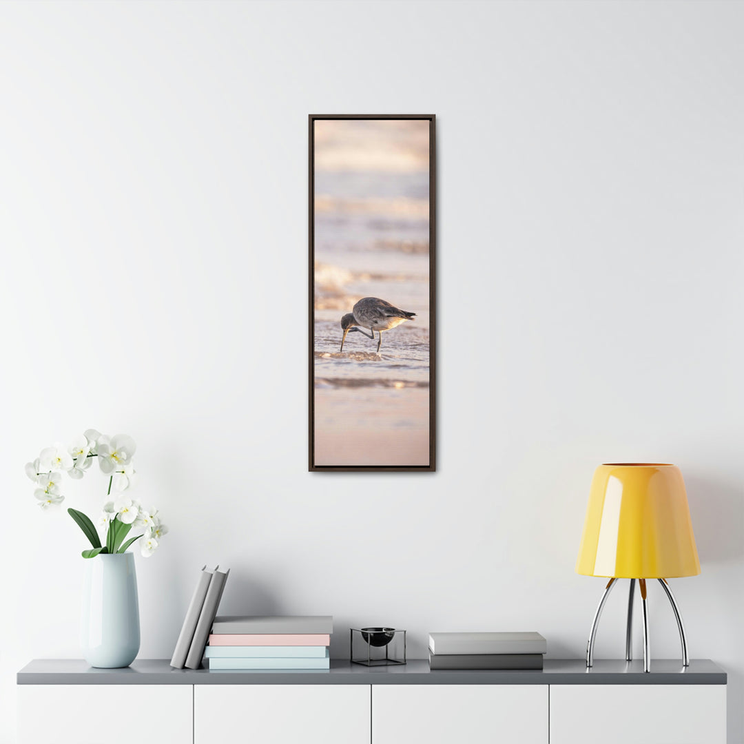 Willet Itch - Canvas with Frame