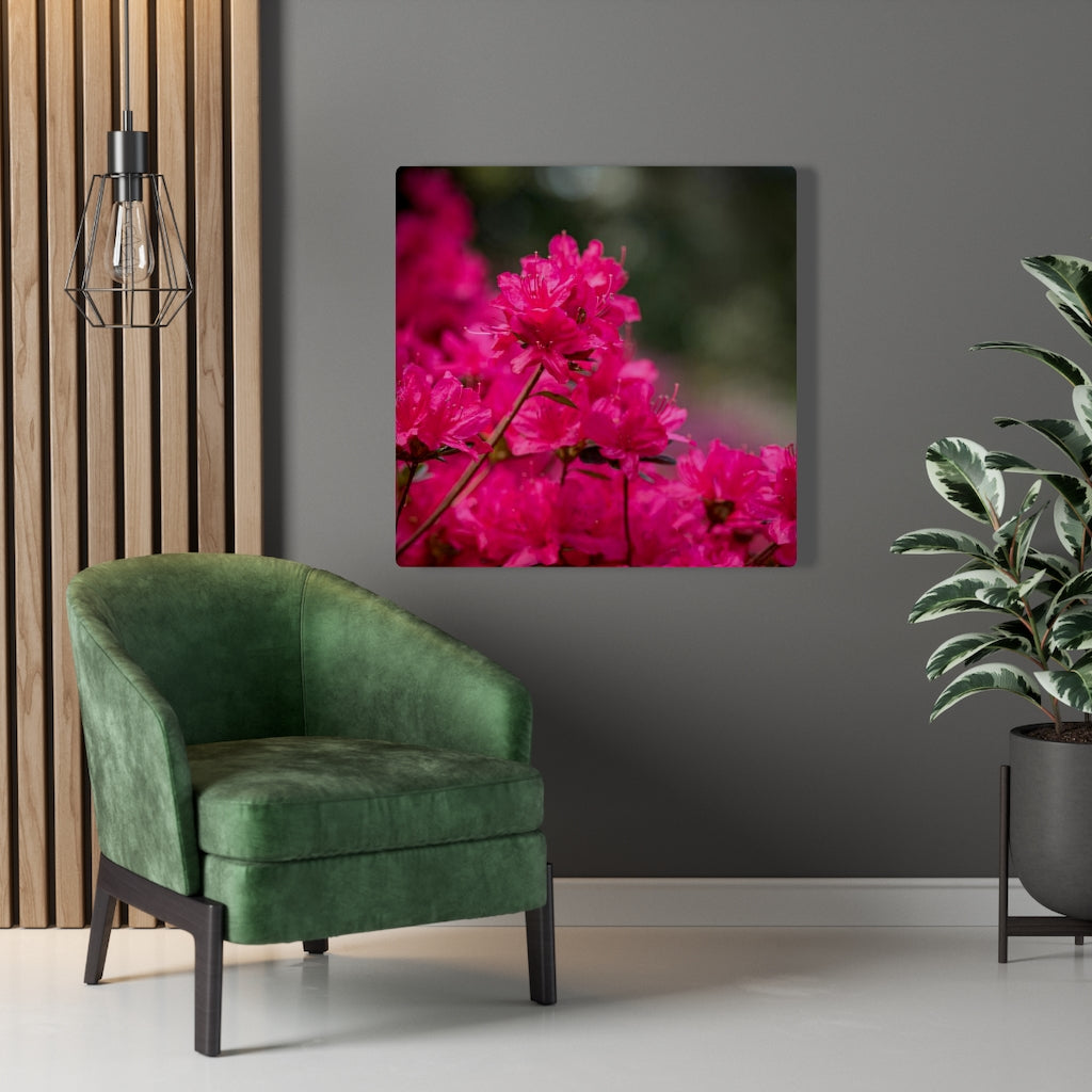 Full Bloom - Canvas