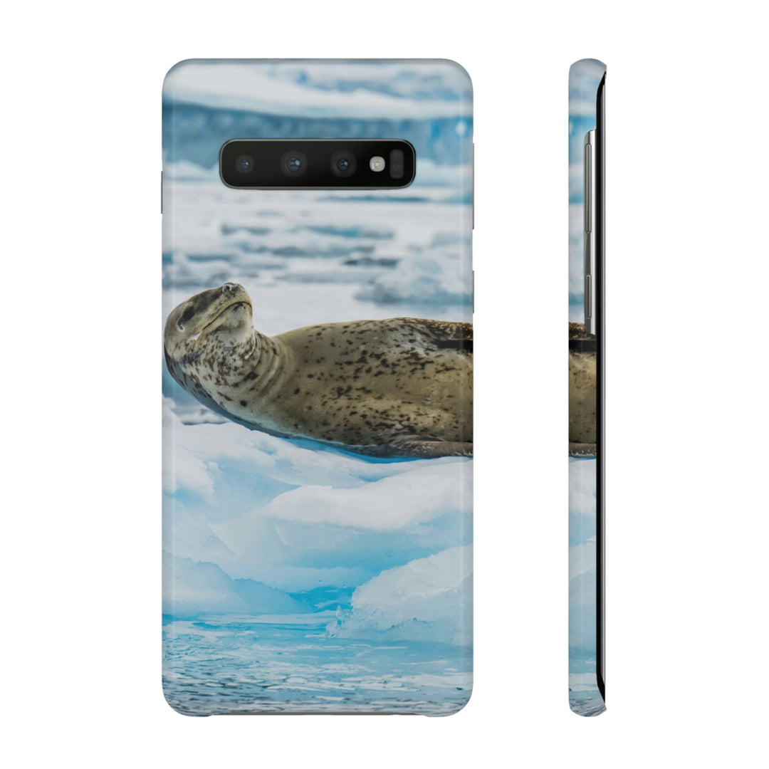 Leopard Seal Relaxing - Phone Case