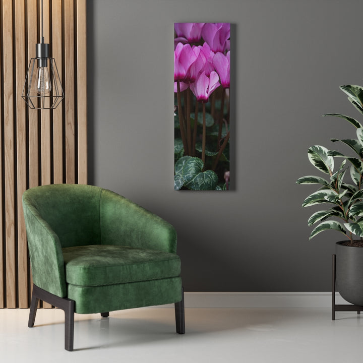 Cyclamen Reach - Canvas