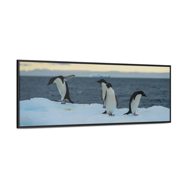 Penguin Dance - Canvas with Frame