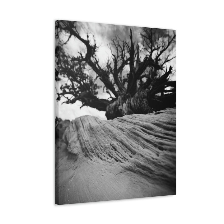 Desert Reach in Black and White - Canvas