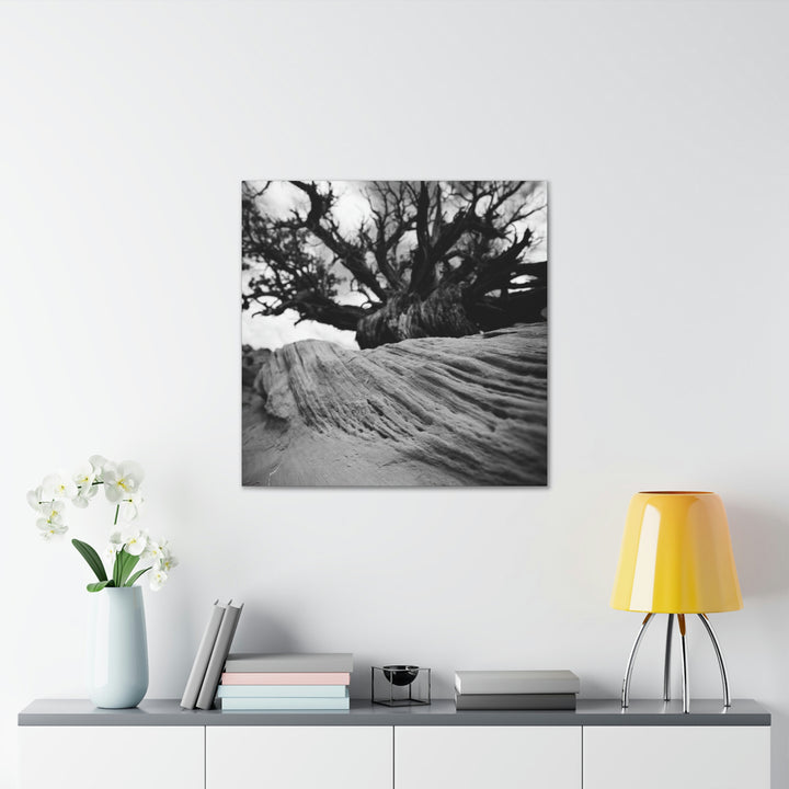 Desert Reach in Black and White - Canvas