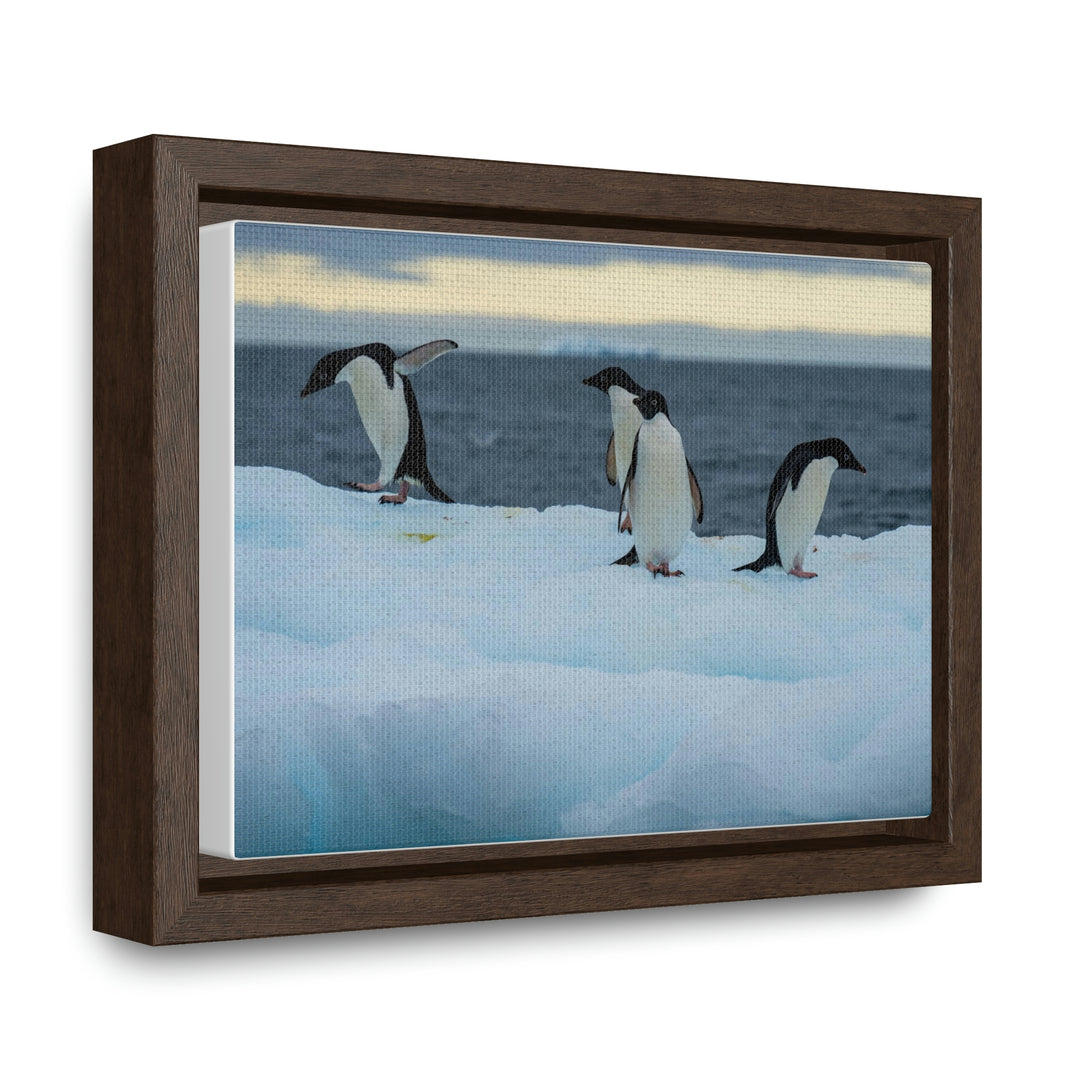 Penguin Dance - Canvas with Frame