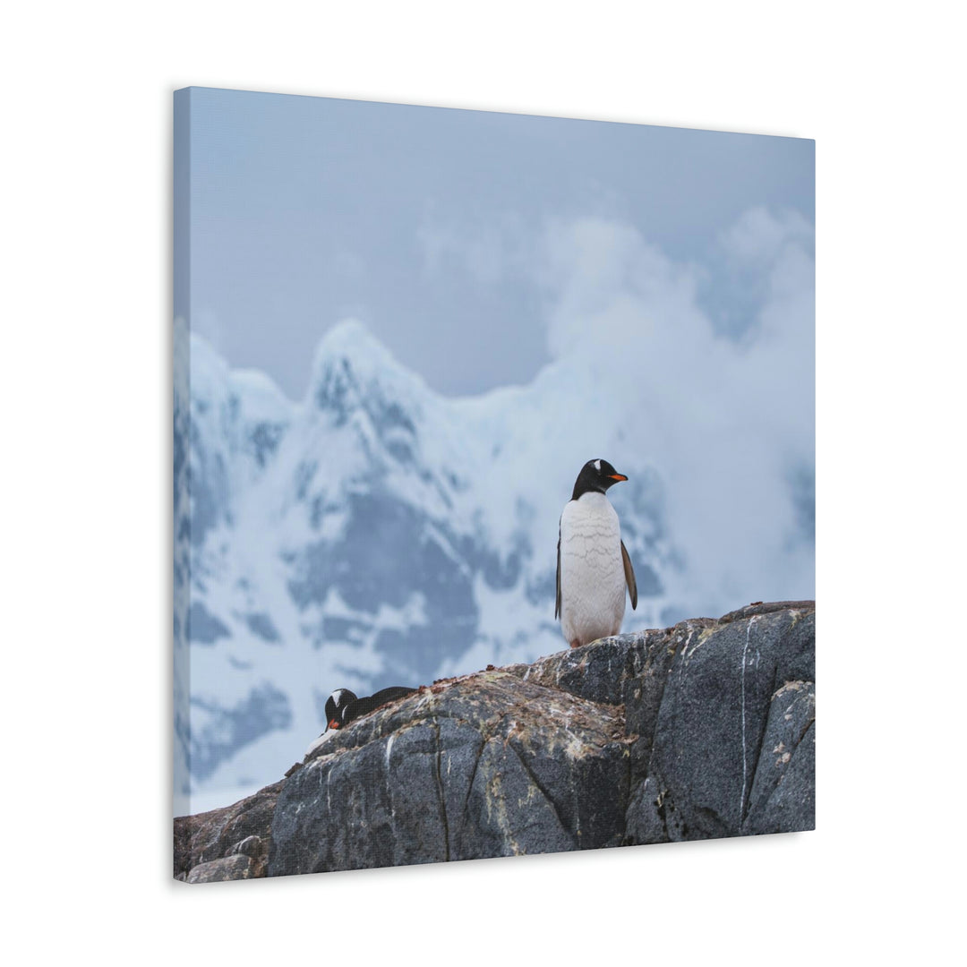 Poised Penguin - Canvas