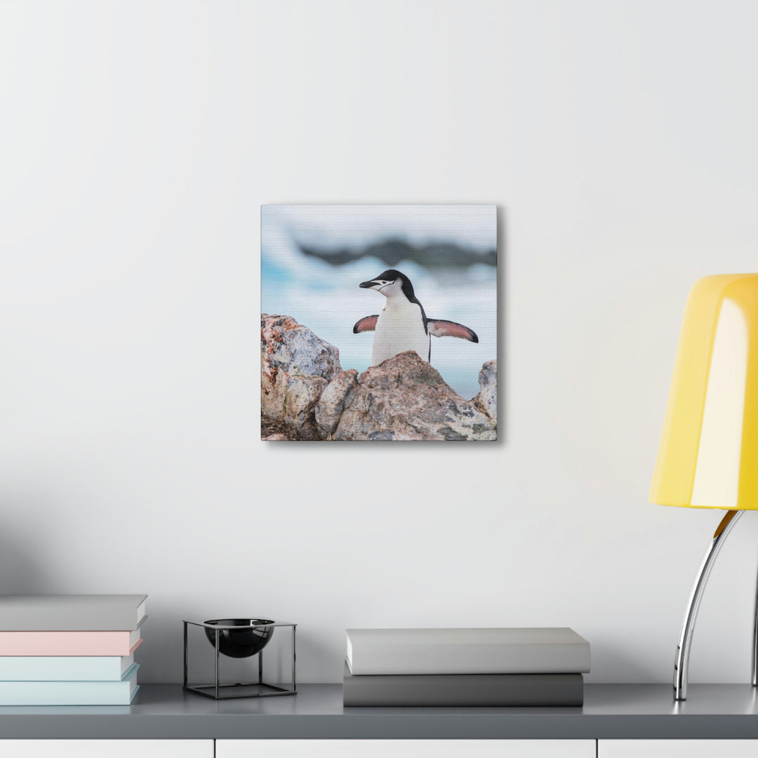 Stretched Penguin - Canvas