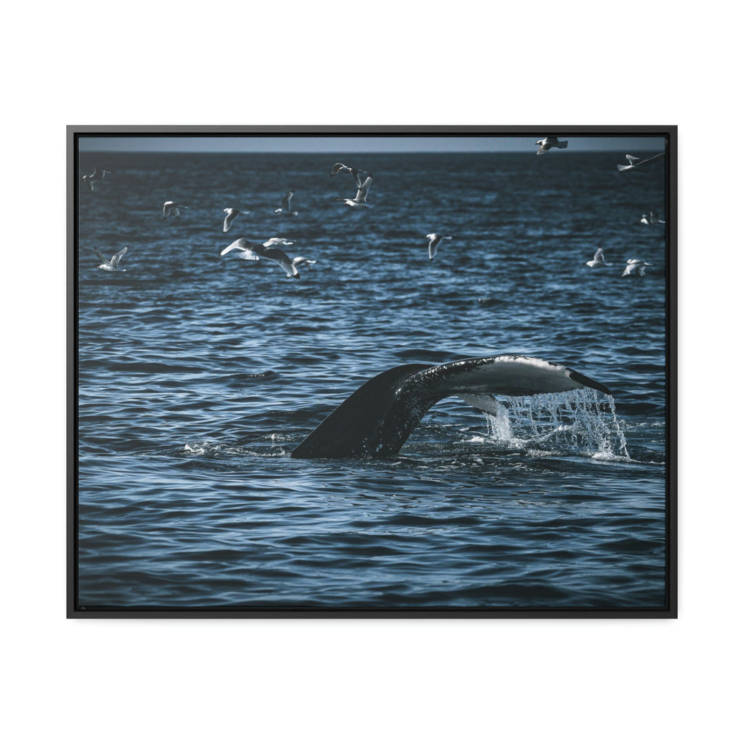 Feeding Tail - Canvas with Frame