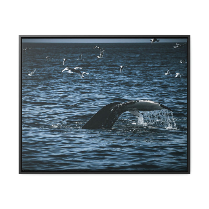 Feeding Tail - Canvas with Frame