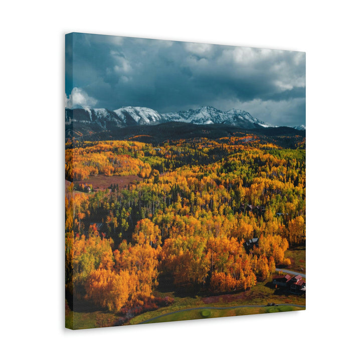 Golds of Autumn - Canvas