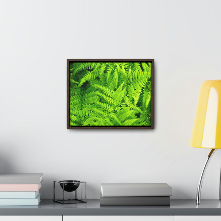 Ferns, Ferns, Ferns - Canvas with Frame