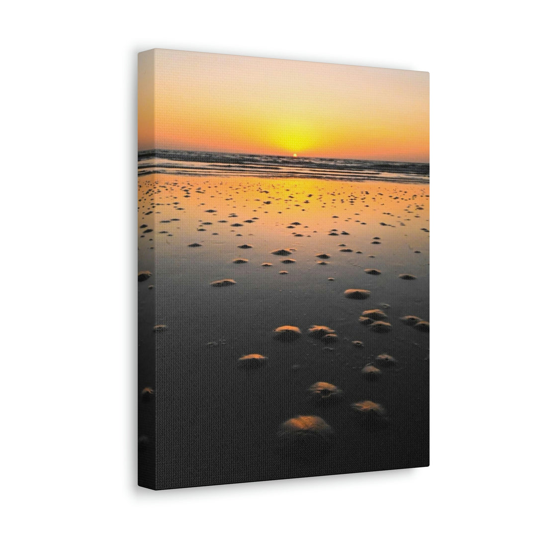 Burrows at Sunrise - Canvas