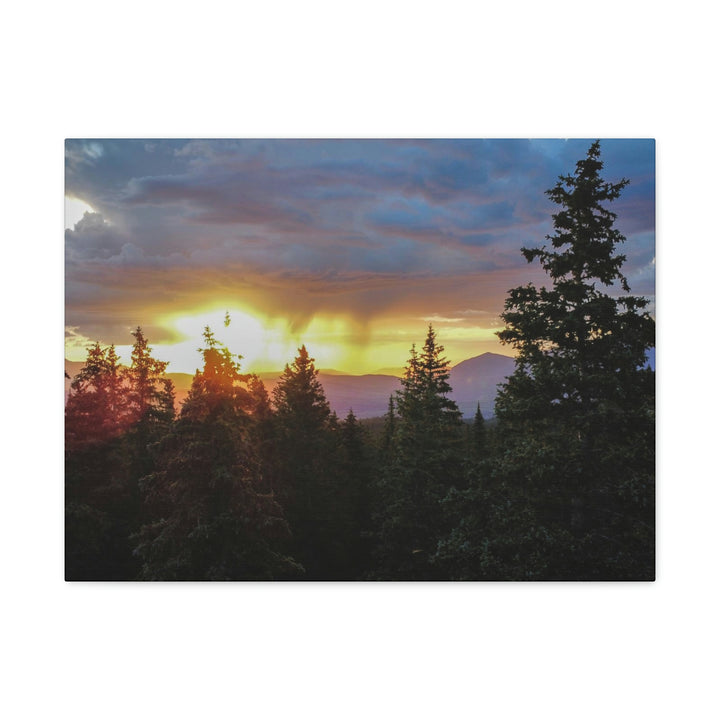 Rainy Sunset Through the Trees - Canvas