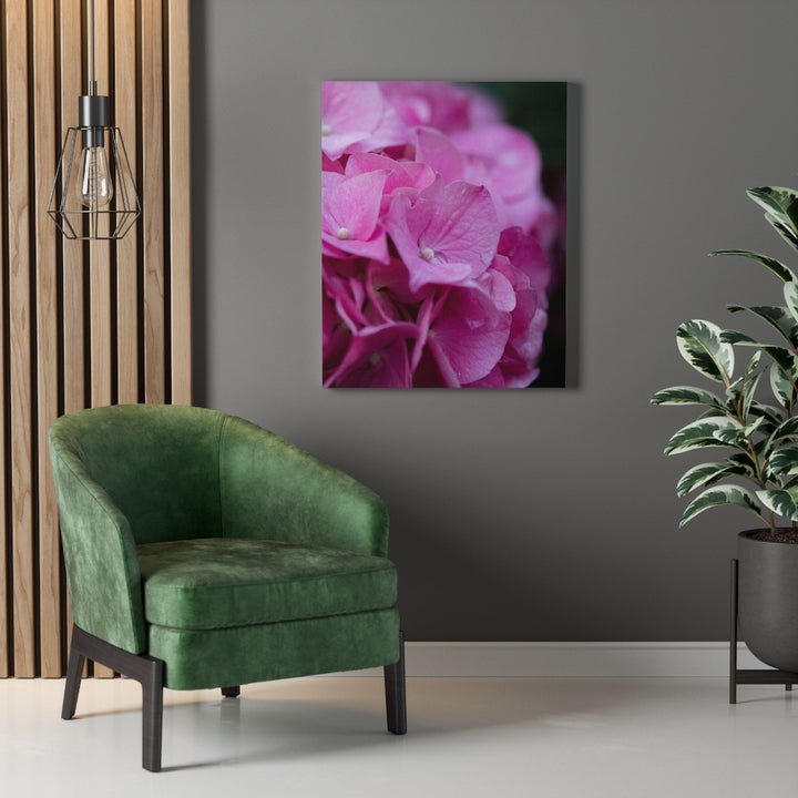 Pink Hydrangea Detail - Canvas