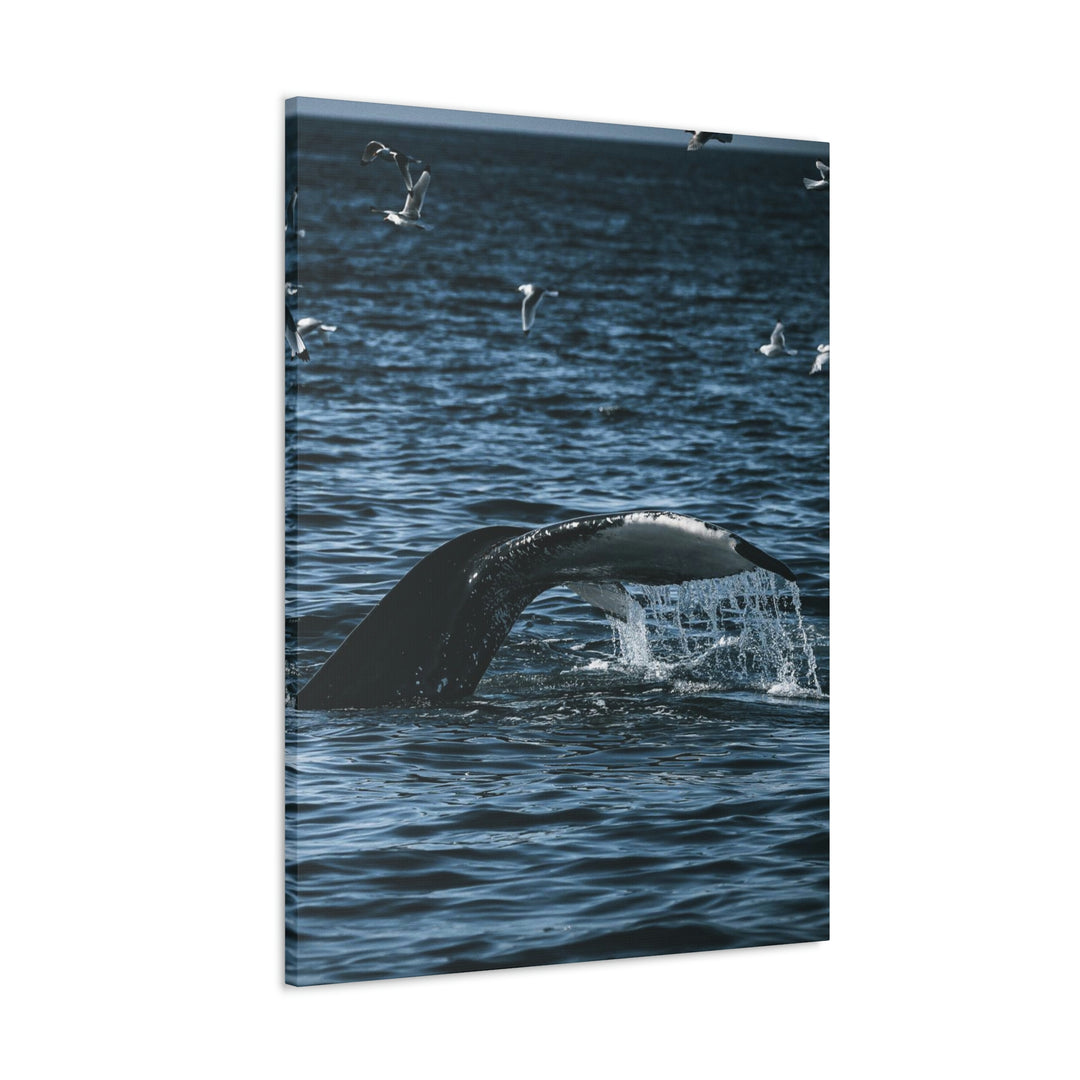 Feeding Tail - Canvas