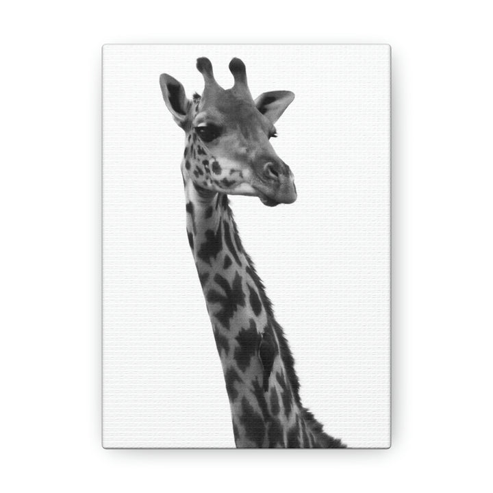 Giraffe Portrait in Black and White  - Canvas