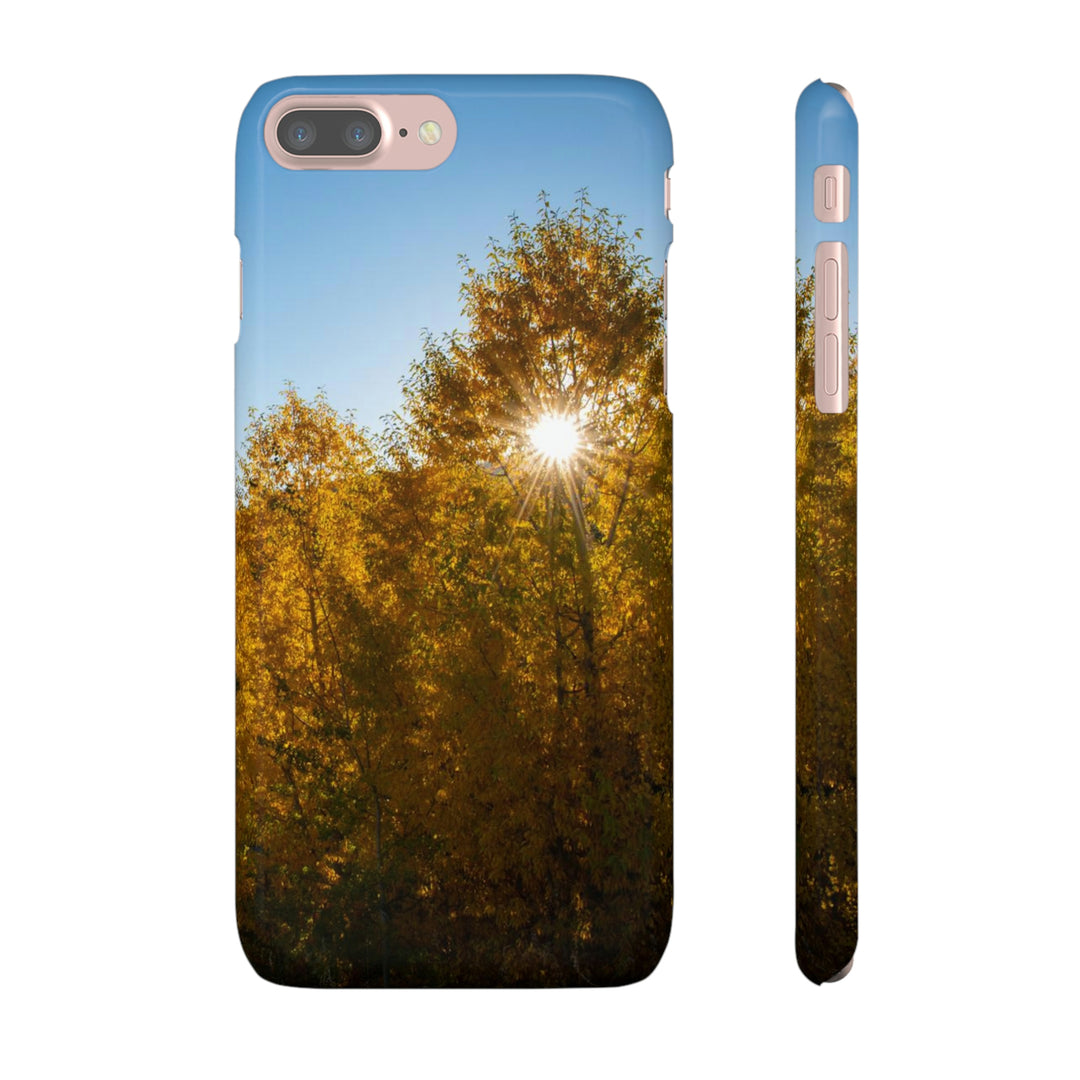 Sun Through the Aspens - Phone Case