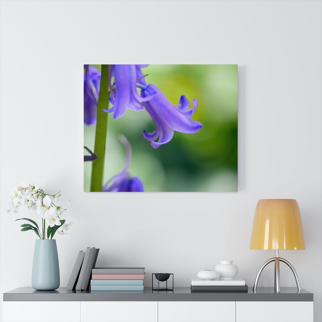 Delicate Bell - Canvas