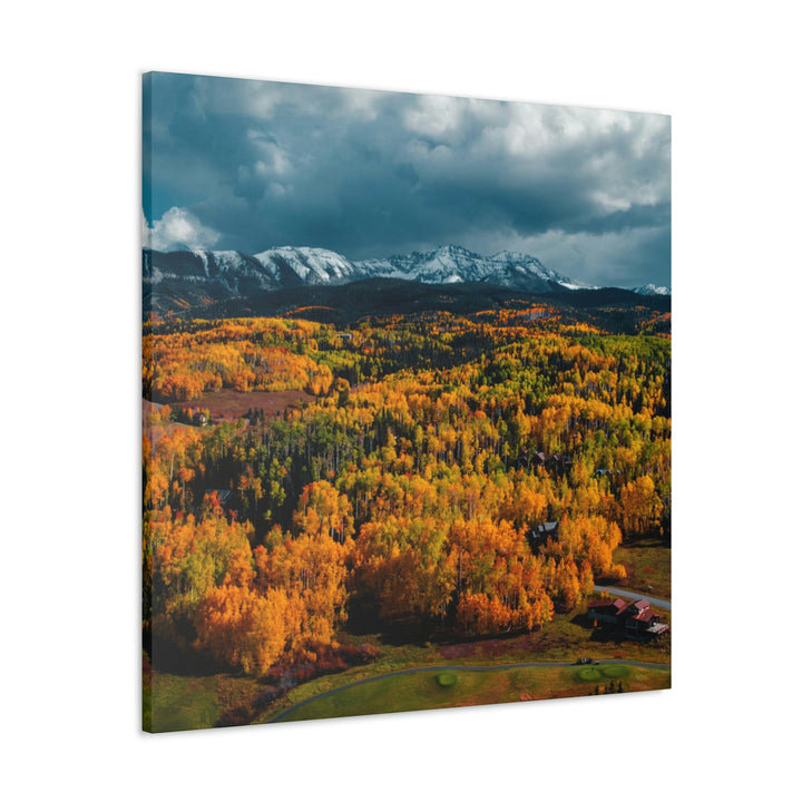 Golds of Autumn - Canvas