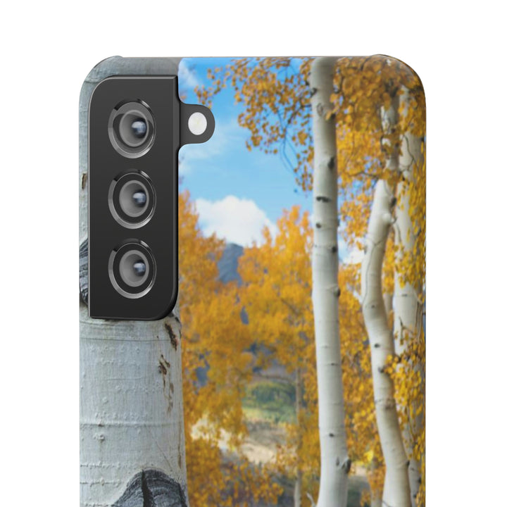 Aspens Changing - Phone Case