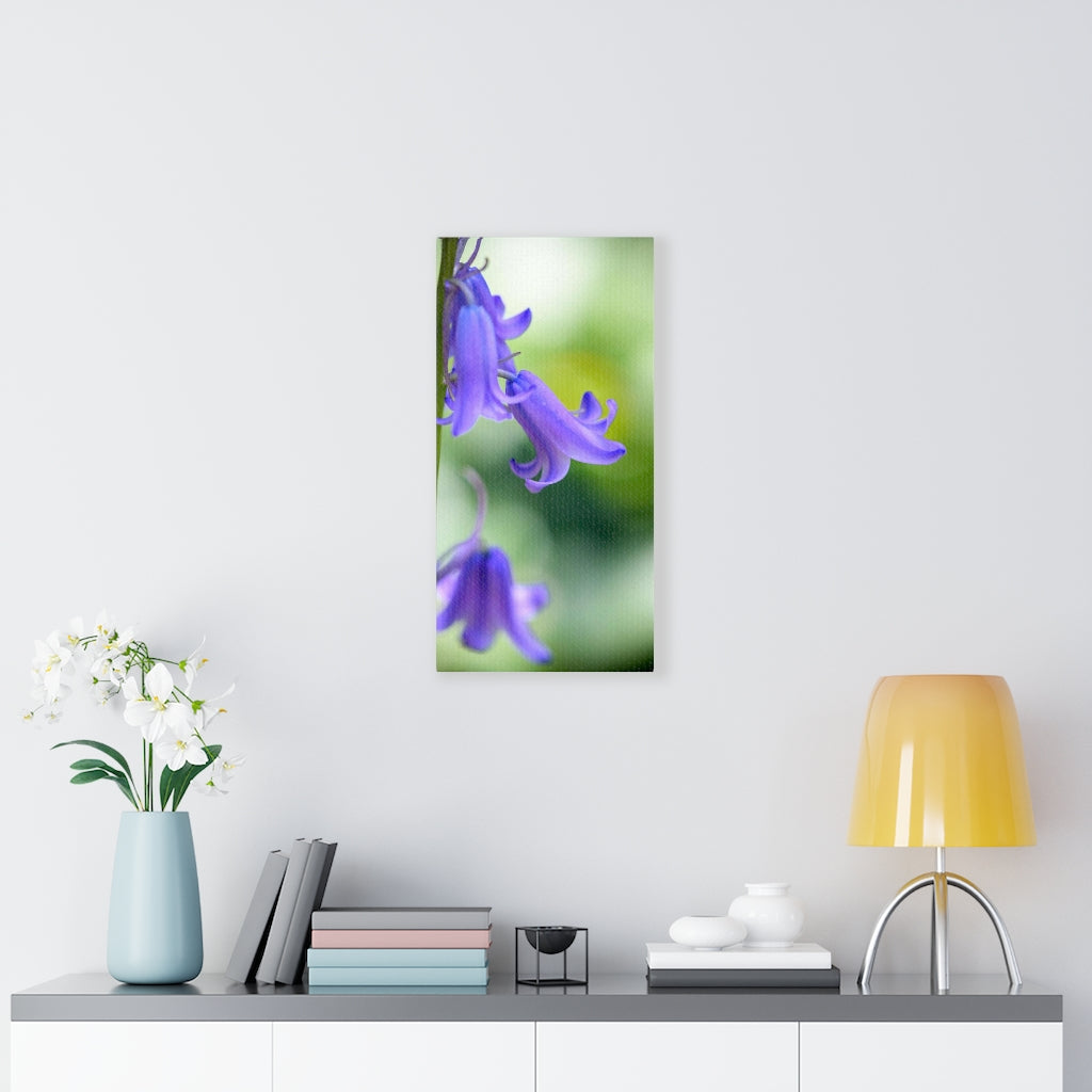 Delicate Bell - Canvas