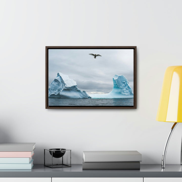 Antarctic Flight - Canvas with Frame