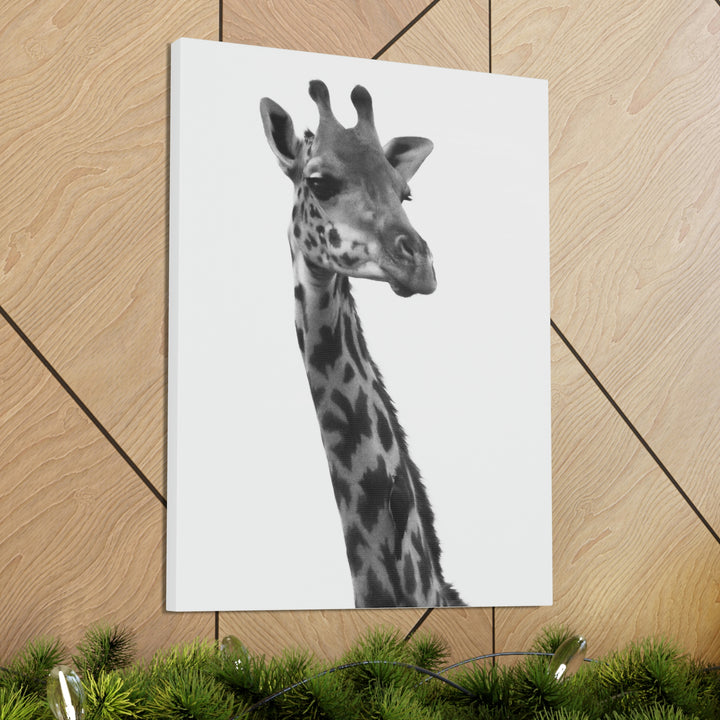 Giraffe Portrait in Black and White  - Canvas