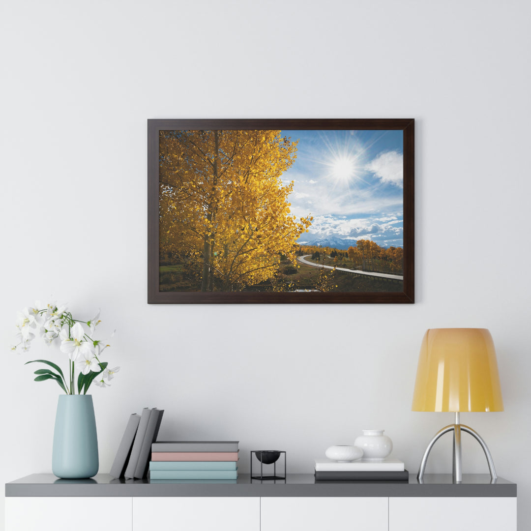 Golden Sunshine - Framed Print