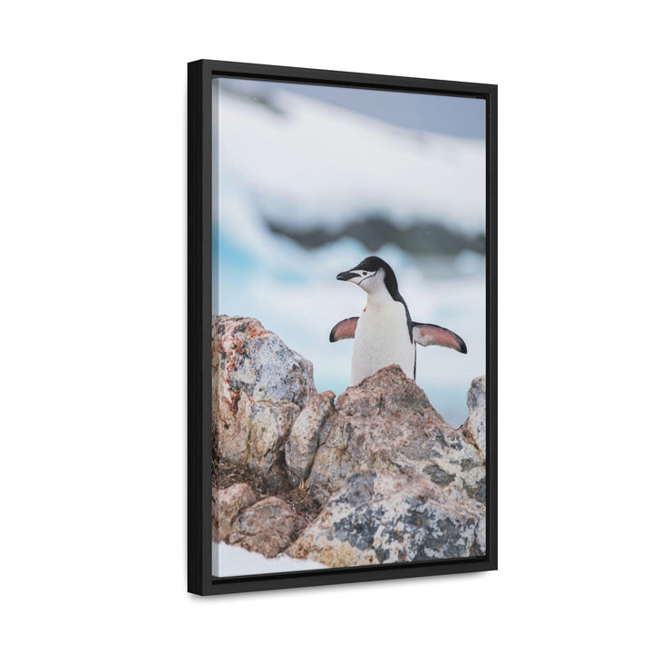 Stretched Penguin - Canvas with Frame