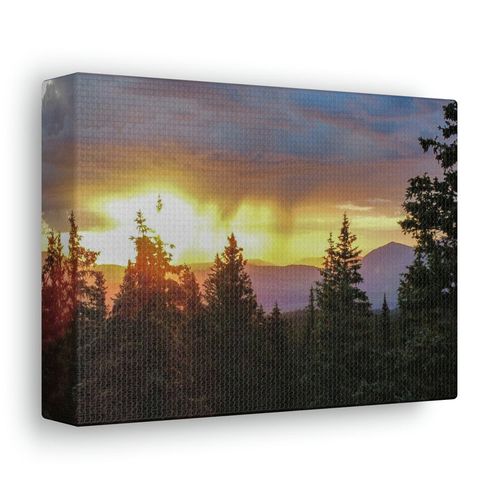 Rainy Sunset Through the Trees - Canvas