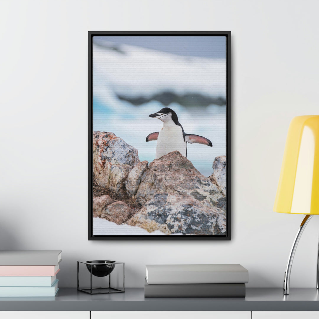 Stretched Penguin - Canvas with Frame