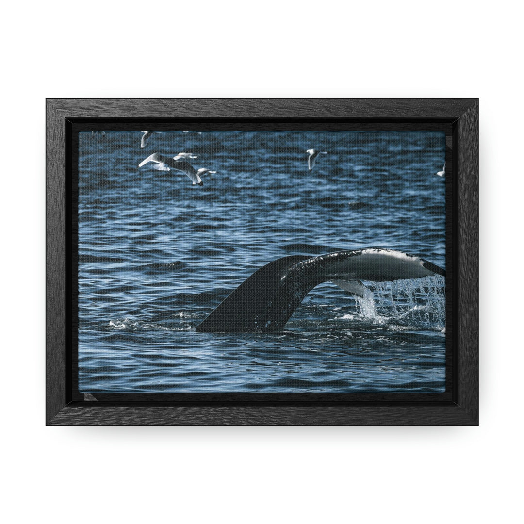 Feeding Tail - Canvas with Frame