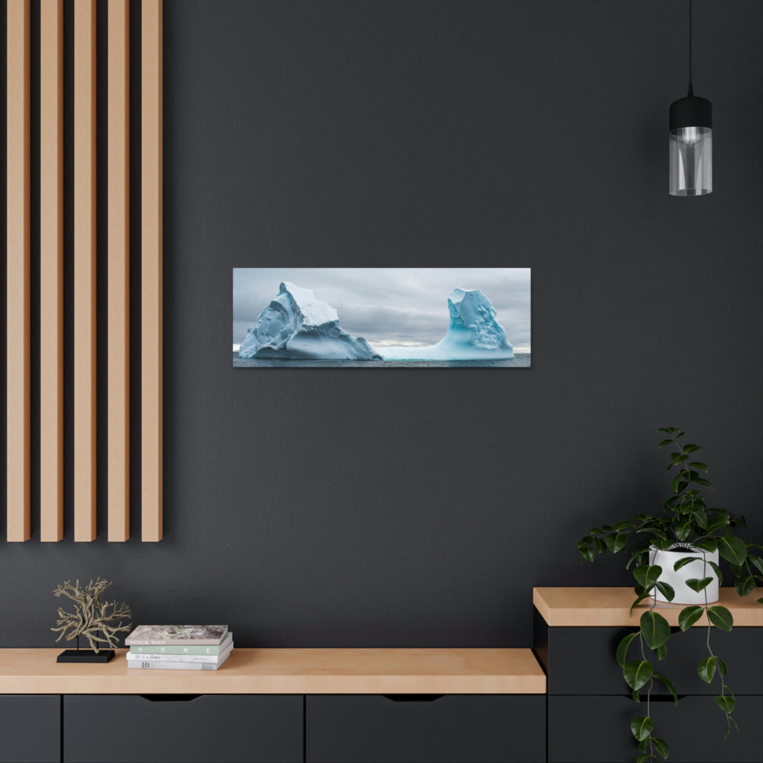 Antarctic Flight - Canvas