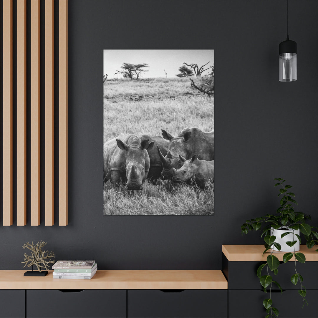 Rhino Family in Black and White - Canvas