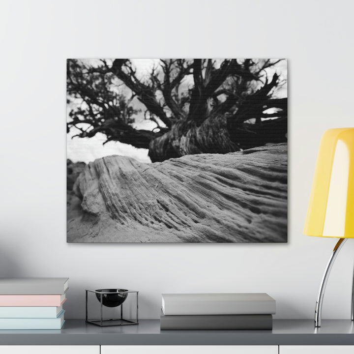 Desert Reach in Black and White - Canvas