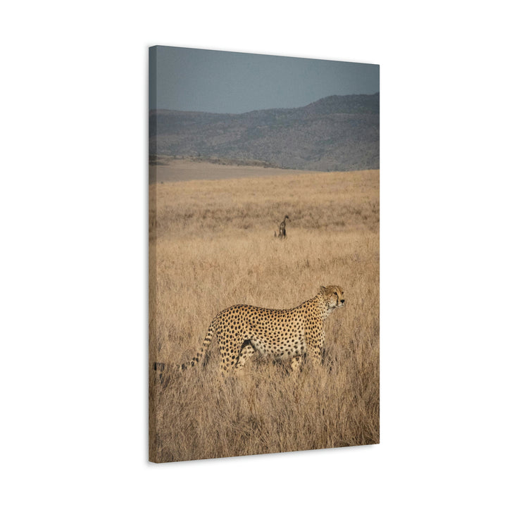 Regal Camouflage - Canvas